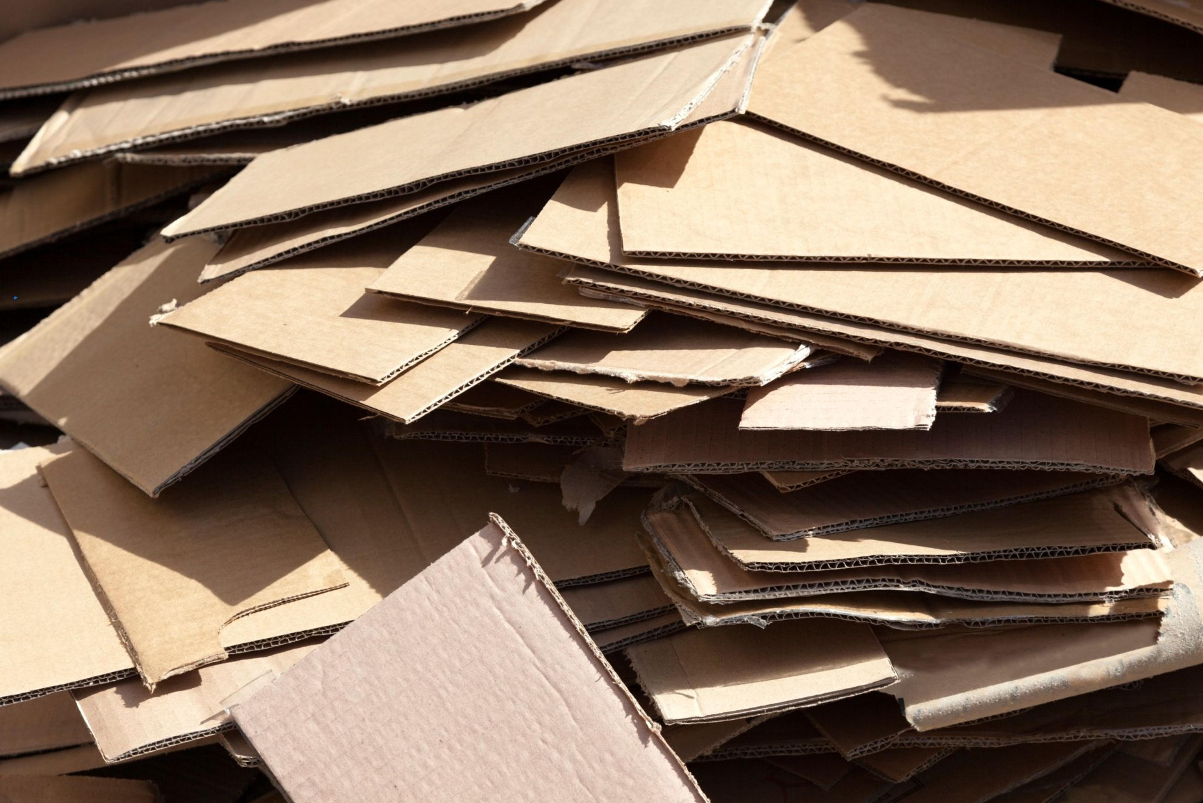 Extended Producer Responsibility October 2025